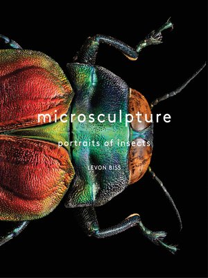 cover image of Microsculpture